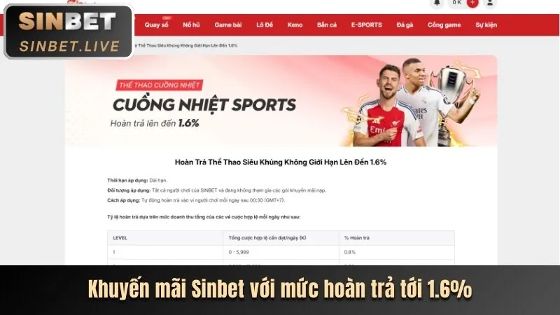 Cá cược thể thao sôi động